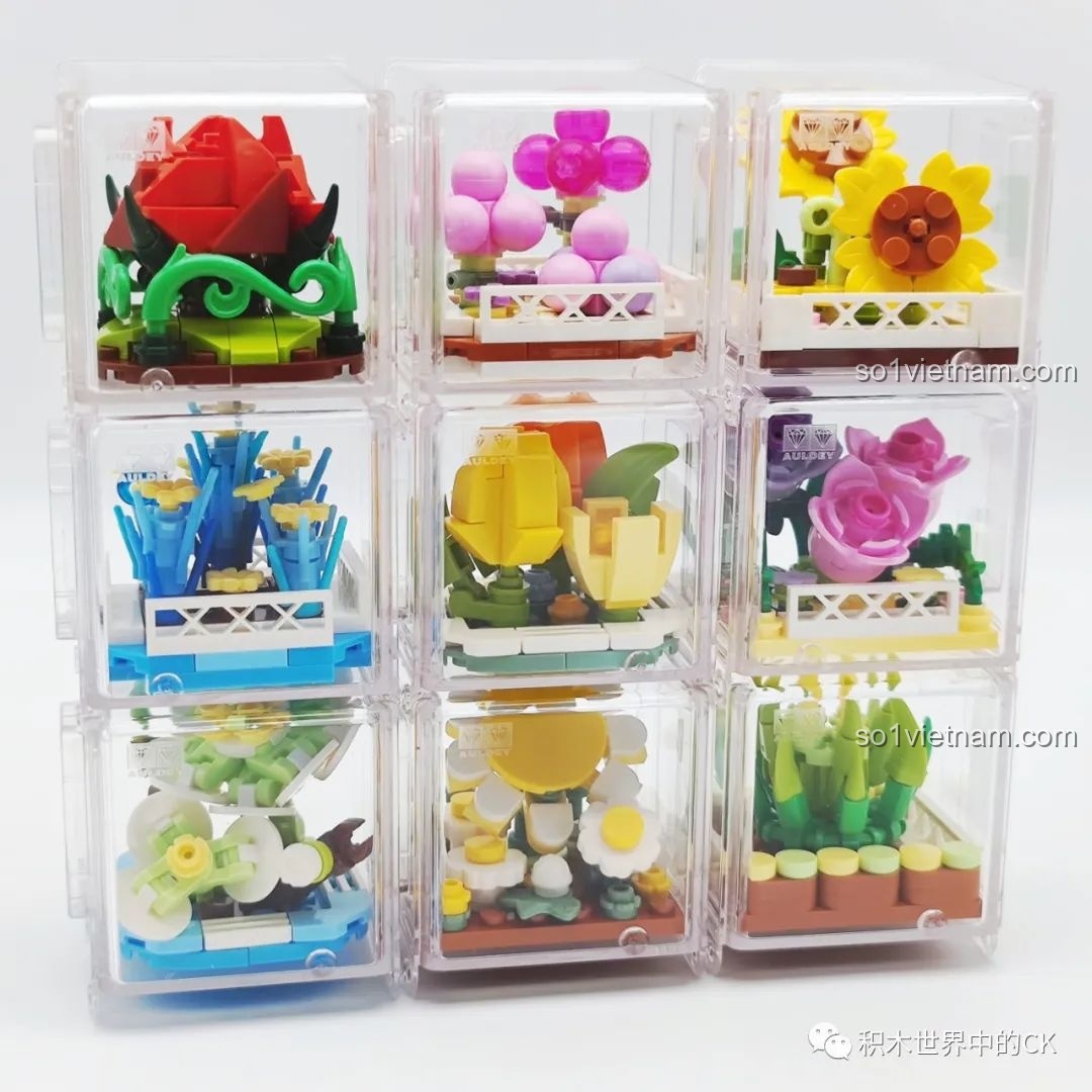 Góc nhìn từ trên xuống của bộ sưu tập 9 chậu hoa nhà kính AULDEY, cho thấy sự đa dạng về màu sắc.