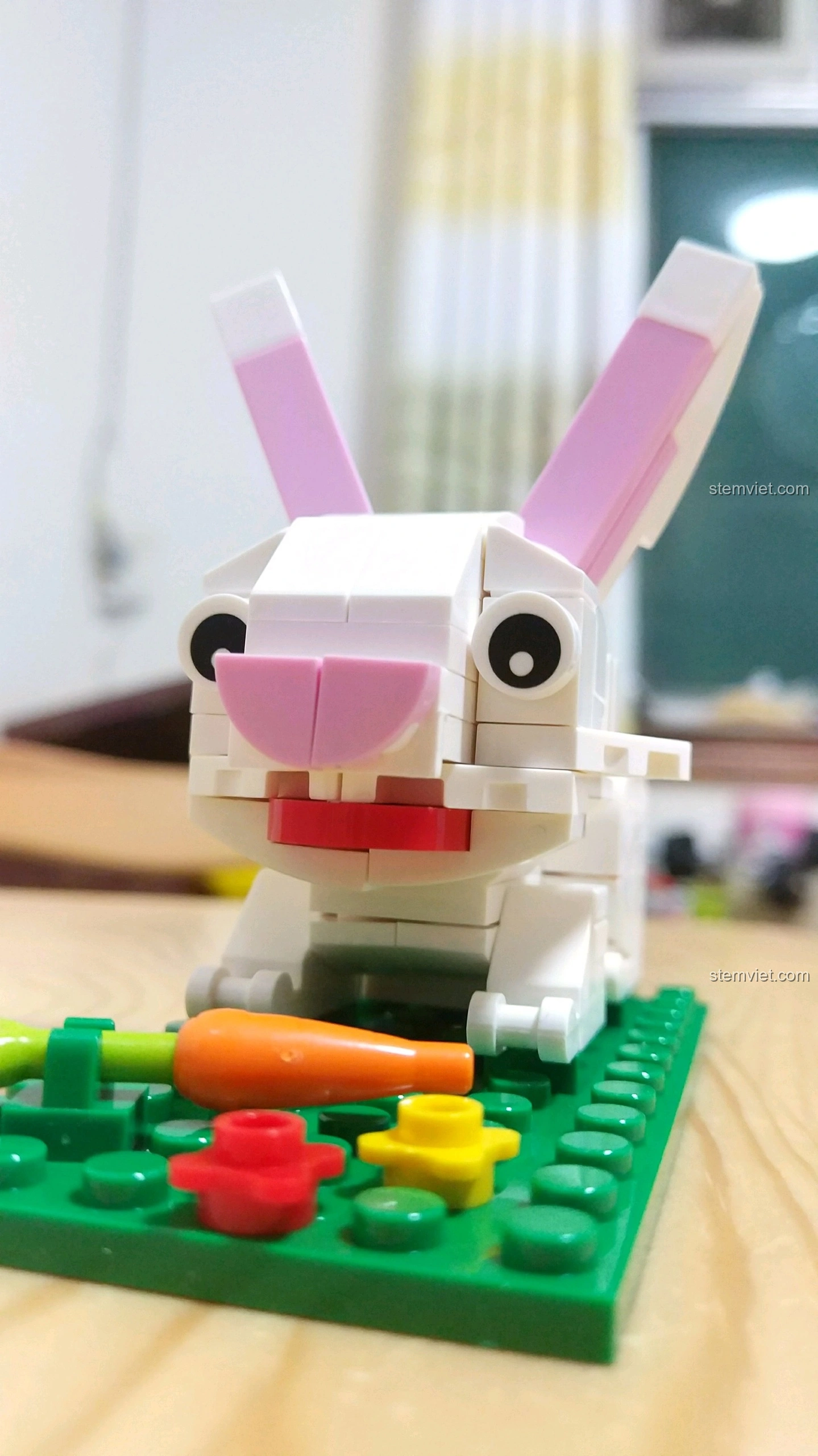 Cận cảnh khuôn mặt Thỏ Mão với đôi mắt to tròn, mũi hồng và hai chiếc răng thỏ nhỏ, chi tiết cà rốt phía trước.