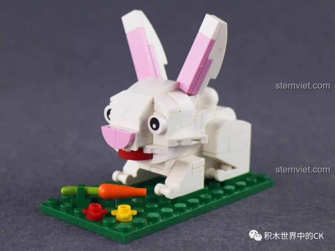 Mô hình xếp hình chú Rồng Thìn XINGBAO