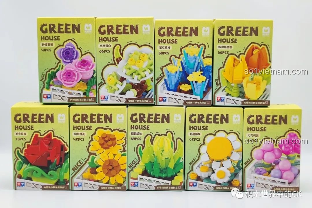 9 hộp nhỏ của bộ sưu tập 9 chậu hoa nhà kính AULDEY, mỗi hộp chứa một mẫu hoa cúc, hoa hồng, hoa tulip.