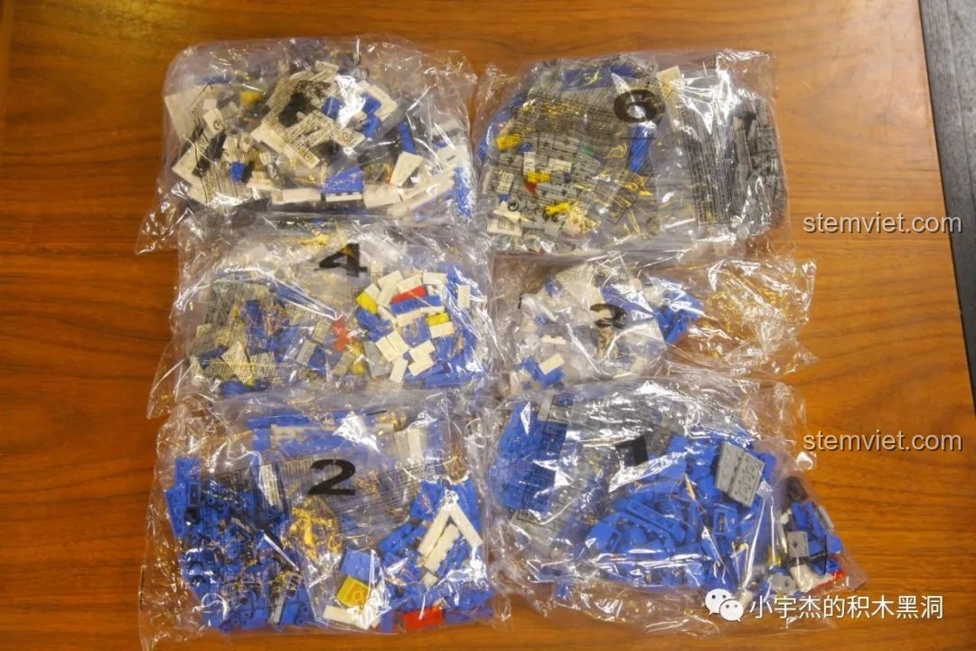 Tổng cộng 6 túi mảnh ghép được đánh số thứ tự của bộ lắp ráp TEC Creators 80009.