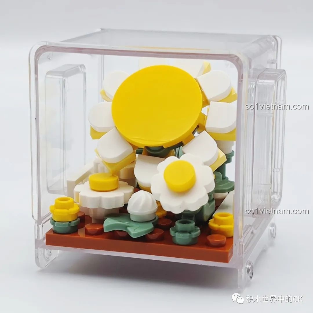 Mô hình chậu hoa cúc dại đồng quê đã lắp ráp xong, đặt trong hộp trưng bày trong suốt của bộ AULDEY.