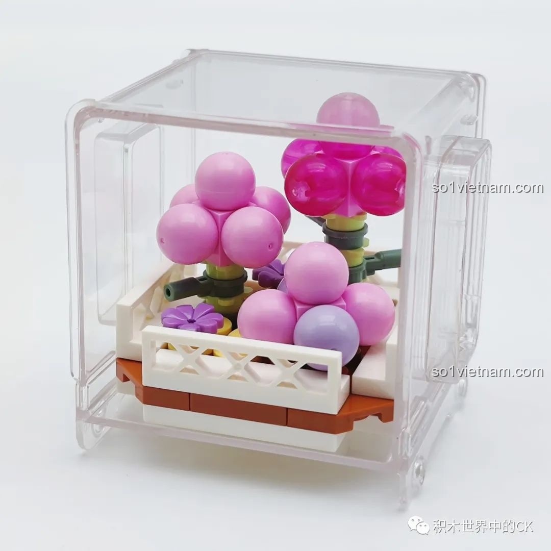 Mô hình chậu mầm đào mọng nước đã lắp ráp xong, đặt trong hộp trưng bày trong suốt của bộ AULDEY.