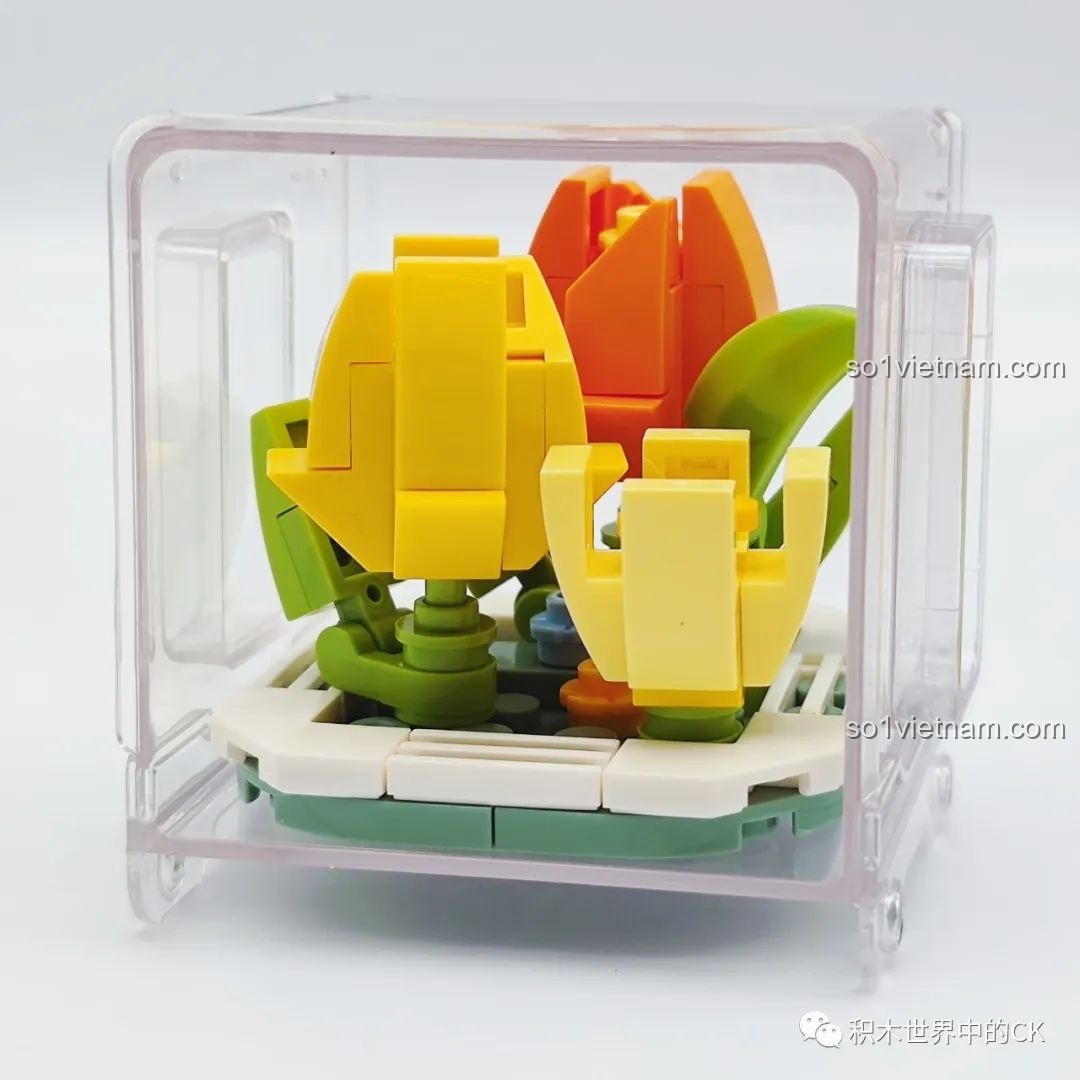 Mô hình chậu hoa tulip kem bơ đã lắp ráp xong, đặt trong hộp trưng bày trong suốt của bộ AULDEY.