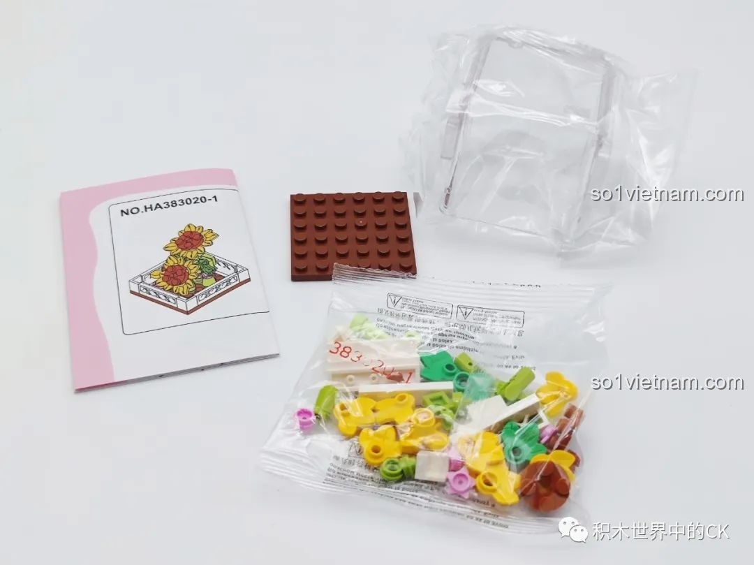 Các chi tiết lắp ráp, sách hướng dẫn và hộp trưng bày của một chậu hoa mini trong bộ sưu tập AULDEY.