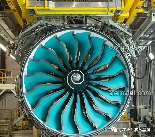 Chi tiết đuôi máy bay Boeing 787 Dreamliner 80009 với số 787, màu decal bị ảnh hưởng.