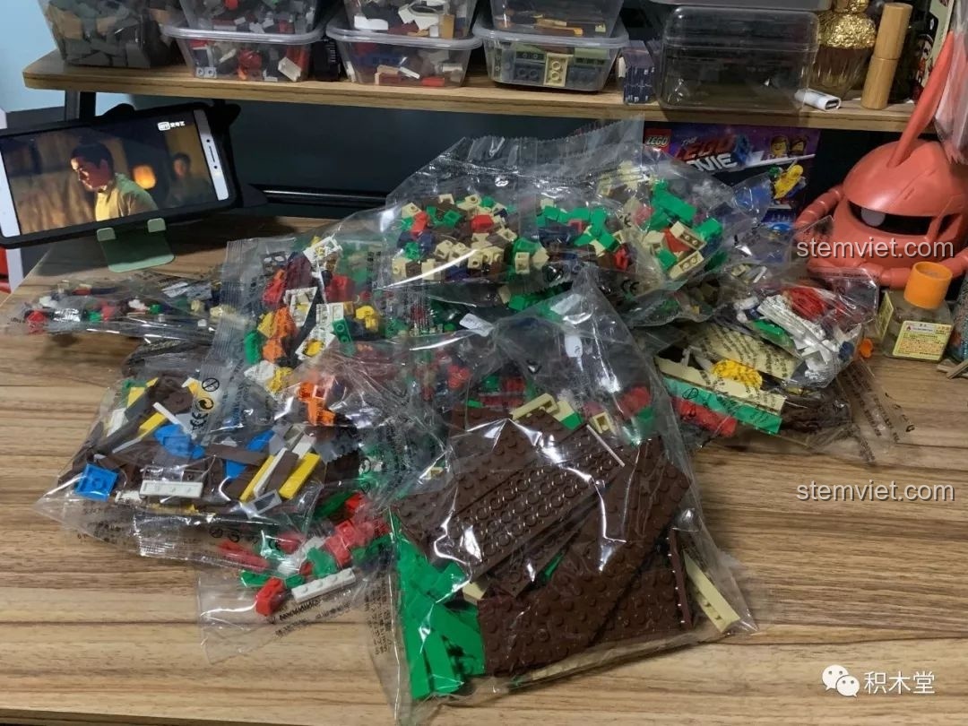 Các túi gạch nhựa ABS chưa được phân loại của bộ WANGE 6313, cho thấy số lượng chi tiết lớn và đa dạng màu sắc.