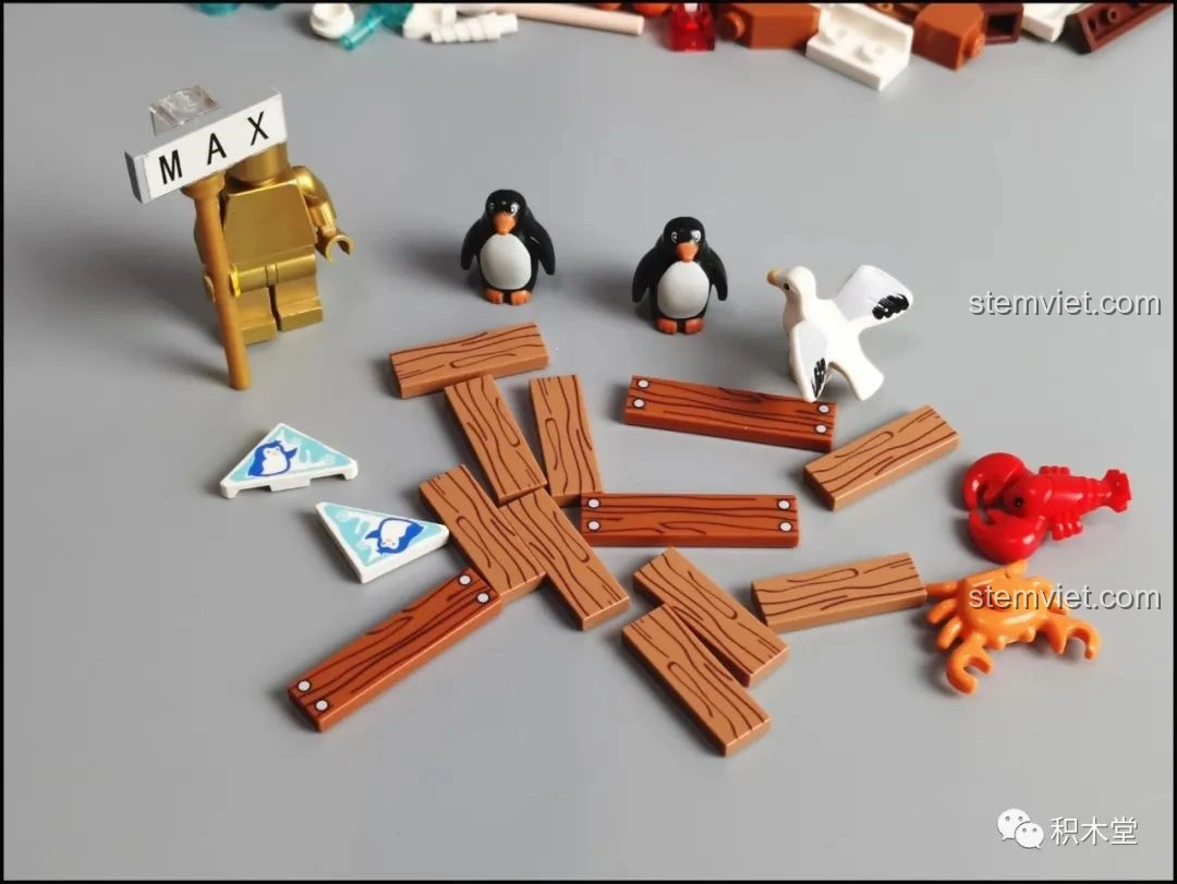 Các mảnh ghép in hình gỗ, chim cánh cụt, chim hải âu và cua, tôm hùm của bộ lắp ráp Pantasy 61001.