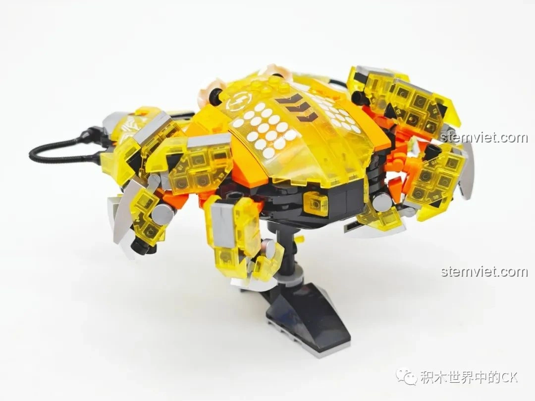 Cận cảnh đôi mắt biểu cảm của mô hình Cua Zhe Gao 662001, tạo điểm nhấn độc đáo cho sinh vật biển.