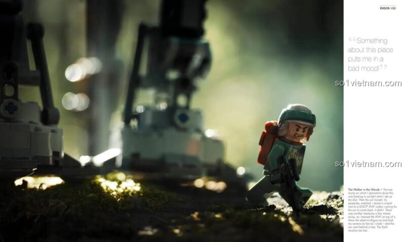 Nhiếp ảnh LEGO Star Wars cảnh lính nổi dậy trong rừng cho bé trai 10 tuổi