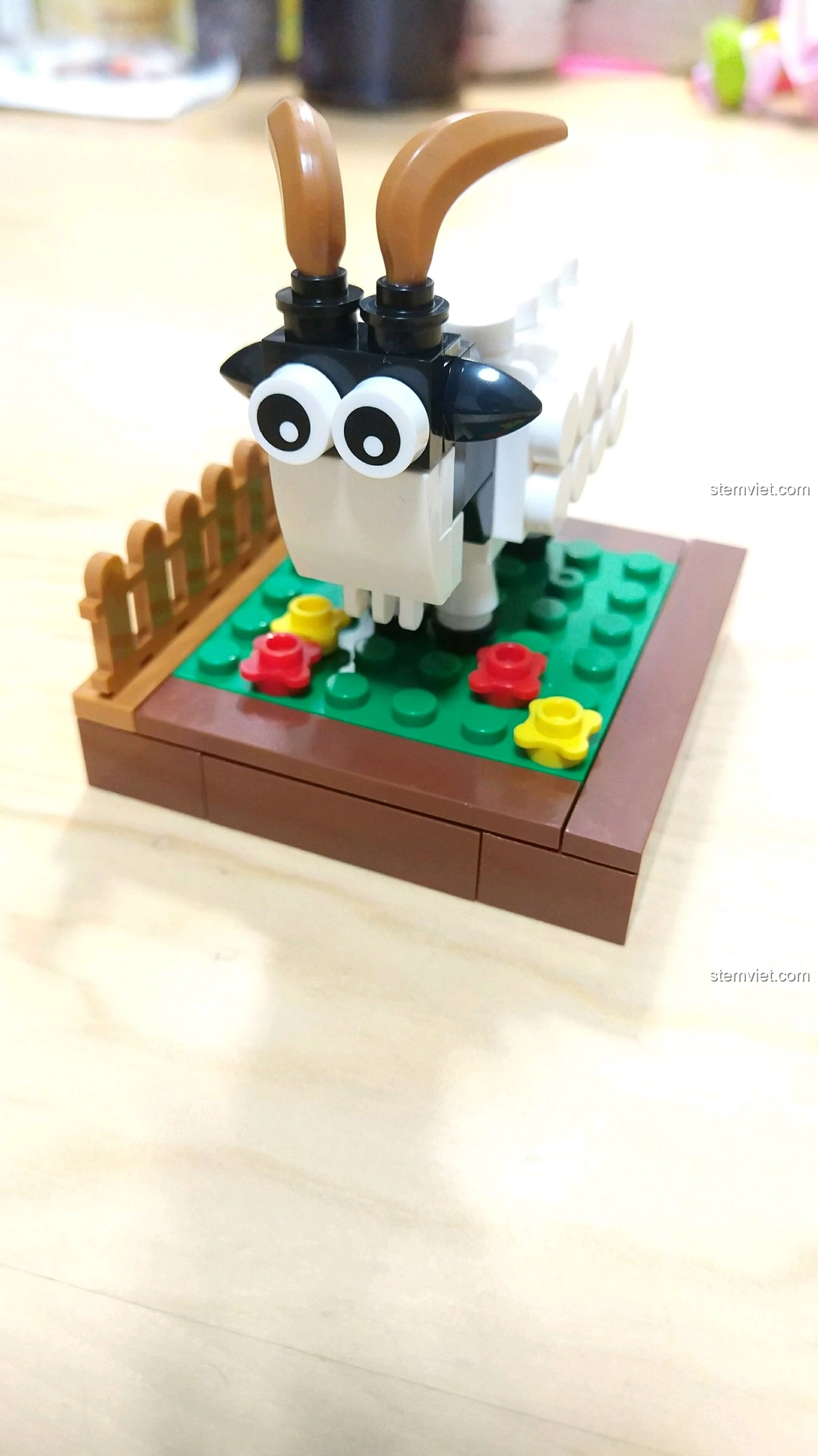 Cận cảnh khuôn mặt Dê Mùi với đôi mắt to tròn và sừng cong màu nâu, đứng trên nền cỏ xanh.