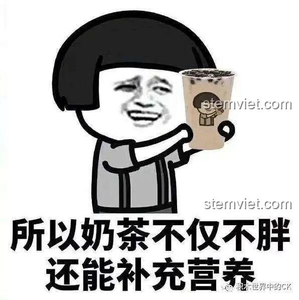 Hình ảnh cuối cùng của bài review, tổng kết về bộ đồ chơi lắp ráp JAKI JK1801 và series ẩm thực độc đáo.