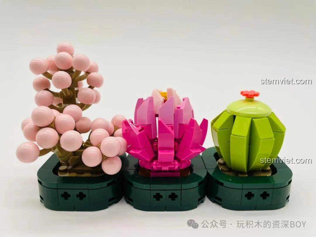 Ba chậu cây mọng nước JAKI JK2727 đã lắp ráp xong, đặt trên nền trắng, góc chụp từ trên xuống.