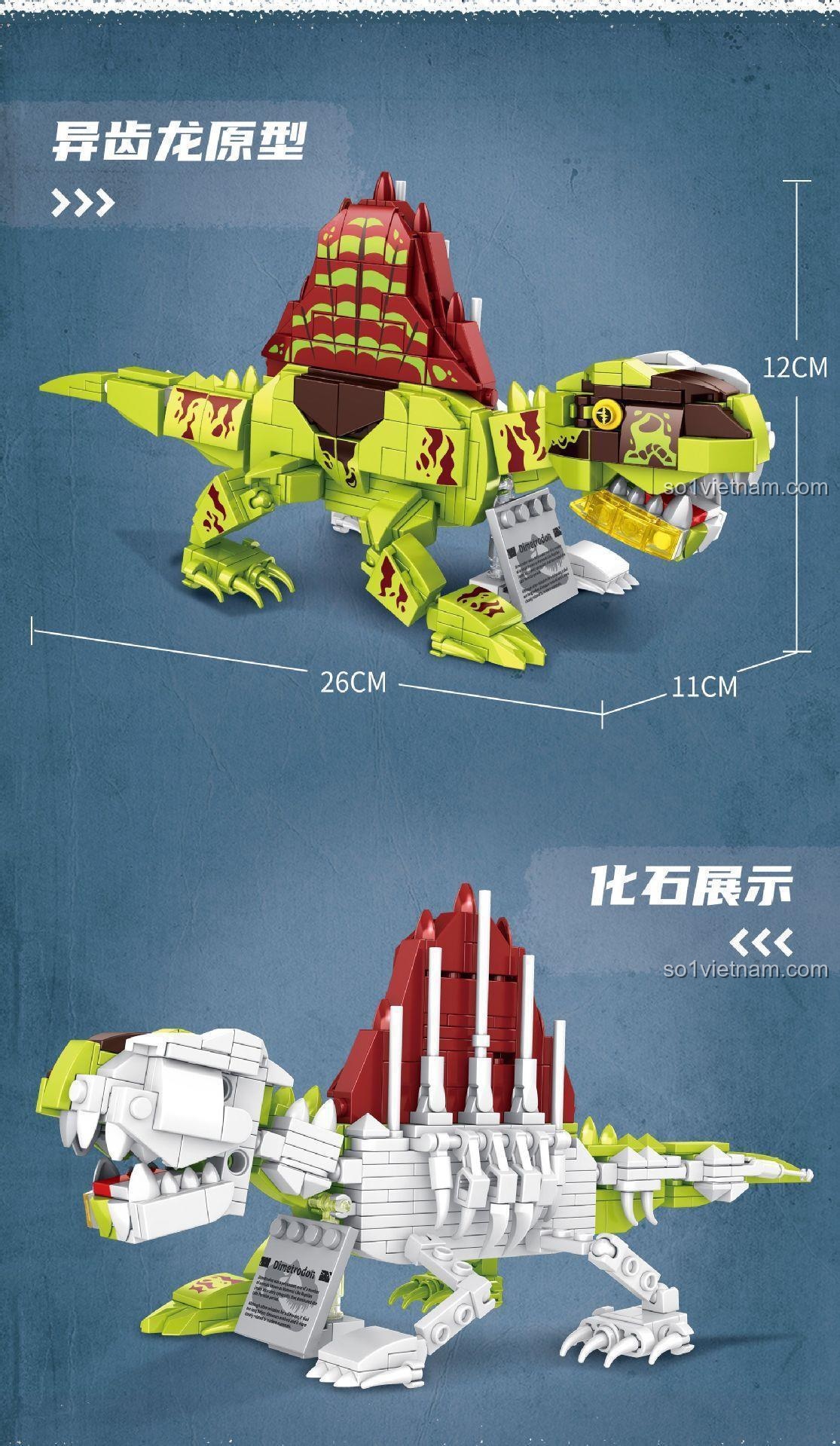 Mô hình khủng long Dimetrodon T1038 đồ chơi lắp ráp GAOMISI kích thước 26x11x12cm, mô hình hóa thạch độc đáo