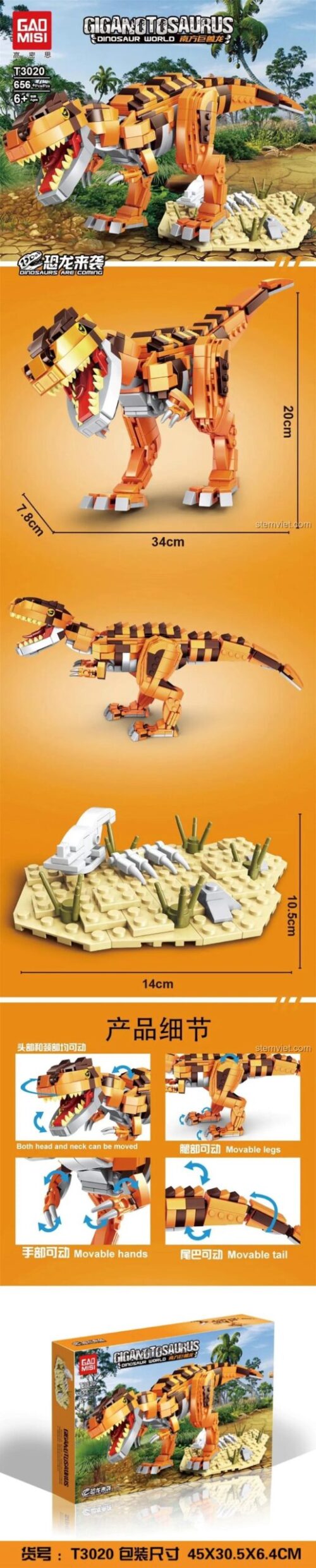 Mô hình Khủng long Giganotosaurus GAOMISI T3020 nhìn từ bên