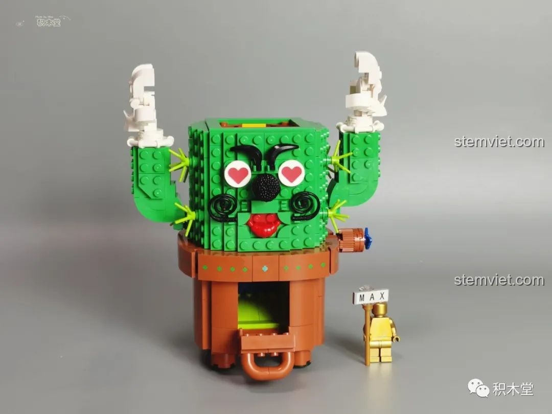 Gương mặt đáng yêu của chú xương rồng sau khi lắp ráp trong đồ chơi mô hình Máy Vặn Trứng Xương Rồng Mexico.