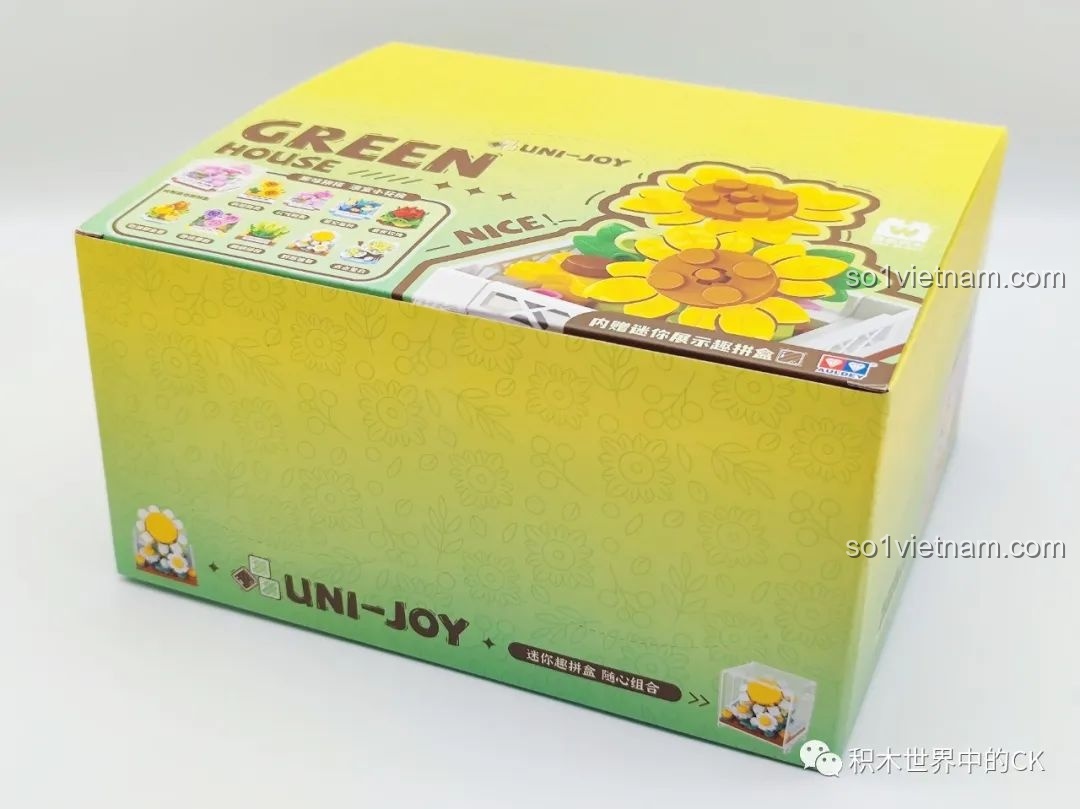 Hộp lớn của bộ sưu tập 9 chậu hoa nhà kính AULDEY HA383020, đồ chơi xây dựng cho bé gái trên 5 tuổi.