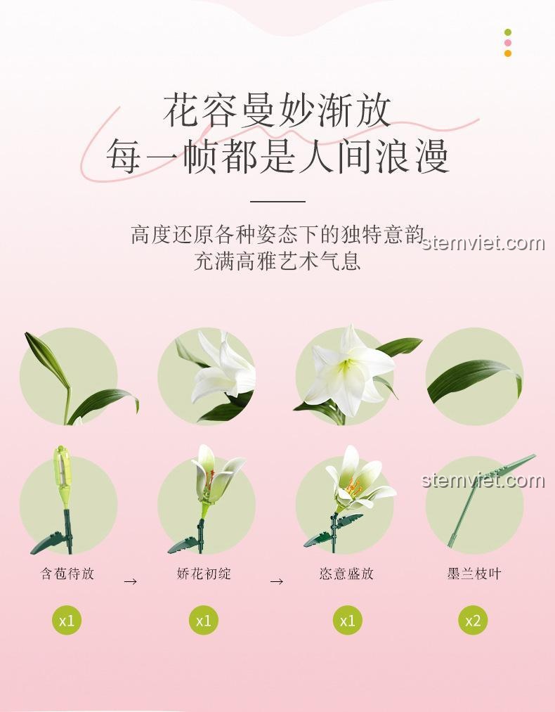 Các giai đoạn phát triển của hoa Bách Hợp Sớm Xuân JAKI JK26101, từ nụ đến hoa nở rộ, thể hiện độ chi tiết cao của bộ lắp ghép.