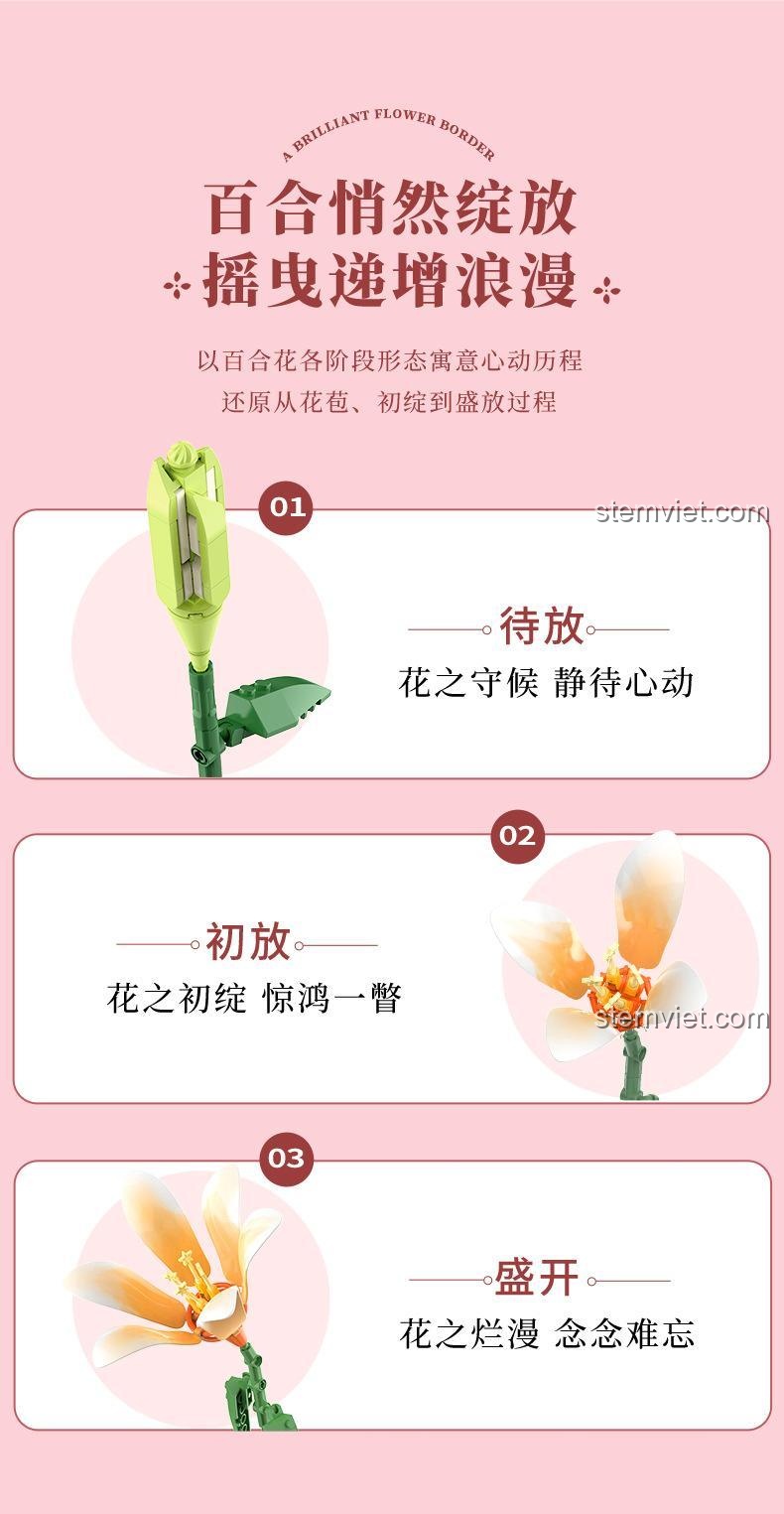 Mô hình hoa bách hợp JAKI JK26953 tái hiện quá trình nở hoa từ nụ đến khi nở rộ, thể hiện sự tinh xảo trong thiết kế của bộ lắp ghép.