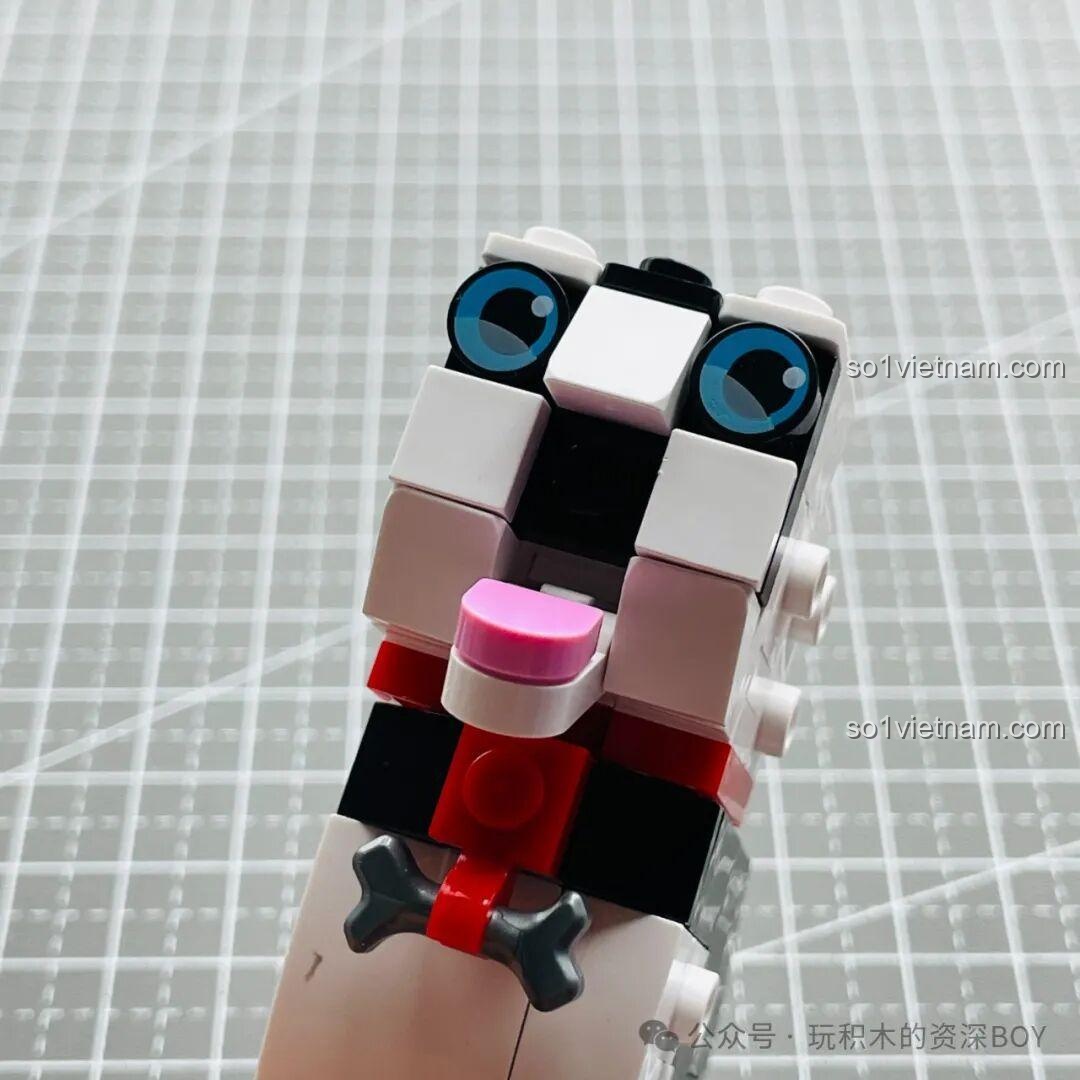 Gương mặt mô hình chó Husky JAKI JK8130 với đôi mắt xanh biếc và chiếc lưỡi hồng nhỏ, tạo nên vẻ