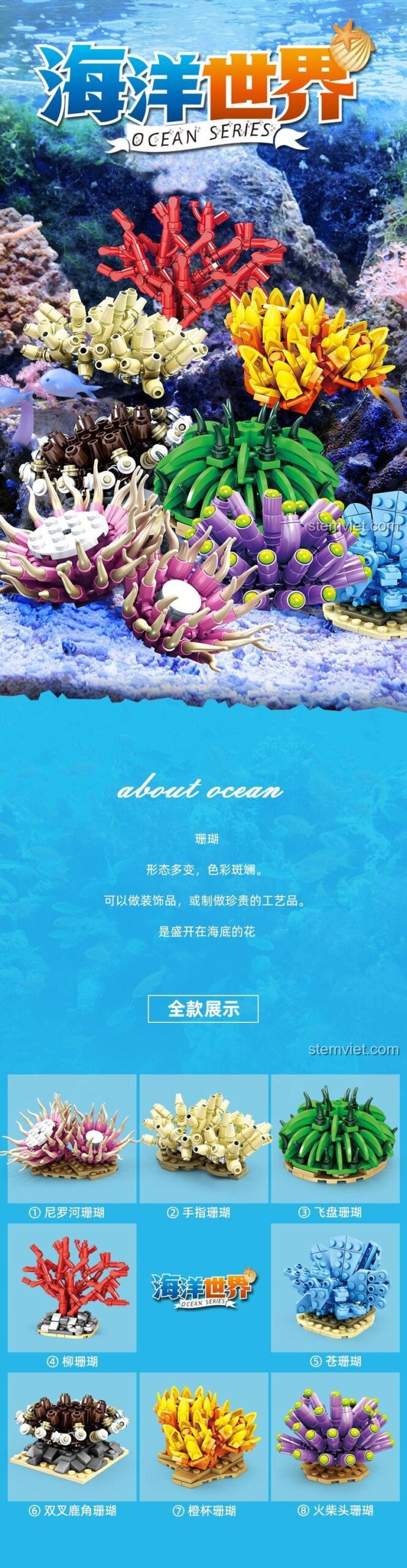 Poster đồ chơi mô hình Rạn san hô lắp ráp KAZI KY80058, giới thiệu 8 loại san hô khác nhau.