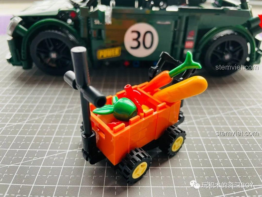 Khu cắm trại hoàn chỉnh với lều, bóng bay, mèo và vẹt, tạo nên một khung cảnh sinh động.