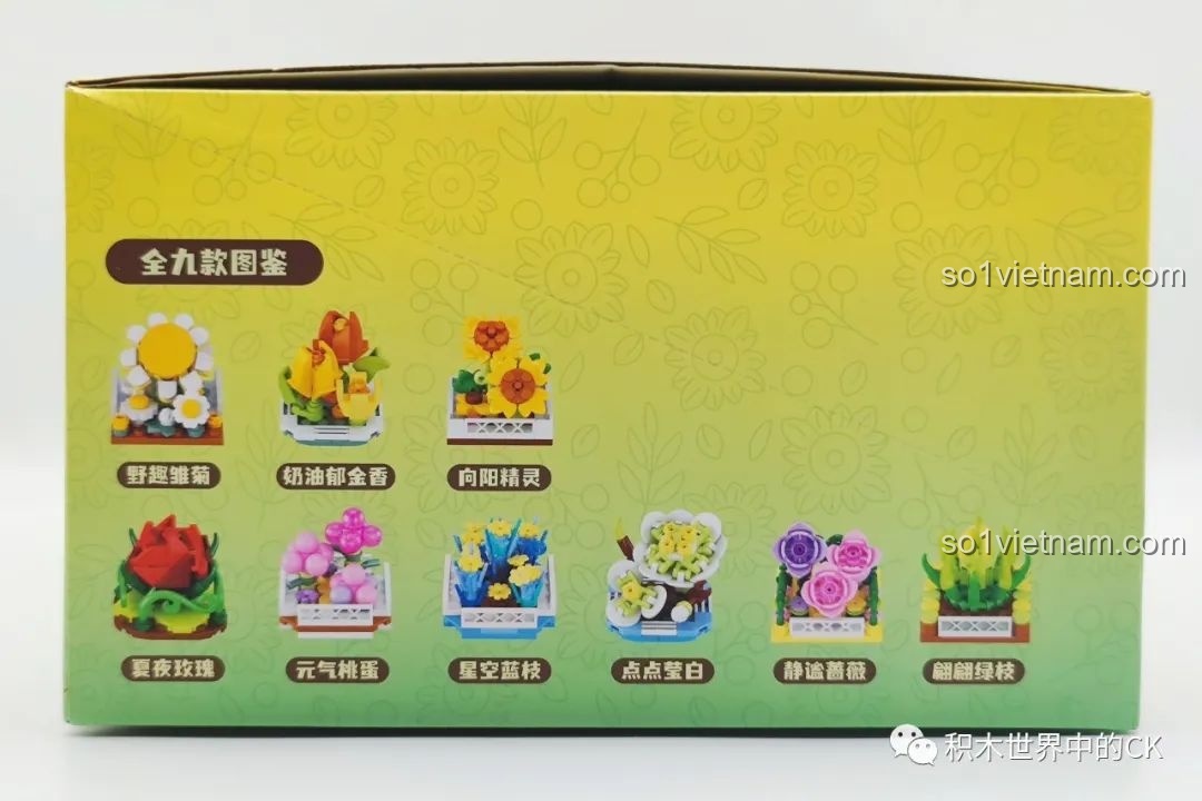 Mặt sau hộp hiển thị 9 mẫu hoa của bộ sưu tập 9 chậu hoa nhà kính, đồ chơi mô hình hoa mini cho bé.
