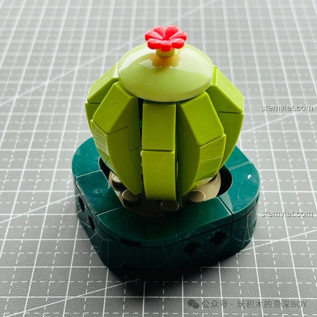 Mô hình cây xương rồng JAKI JK2727 đã hoàn thành, với nắp xanh và bông hoa đỏ nhỏ xinh trên đỉnh.