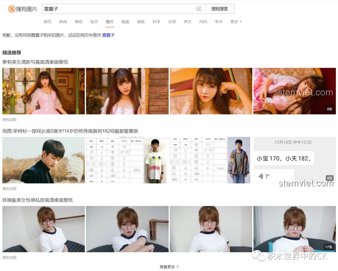 Mô hình lắp ráp Lôi Chấn Tử (Lei Zhenzi) hoàn chỉnh từ Zhegao QL2301, với đôi cánh đen và trang phục chiến binh.