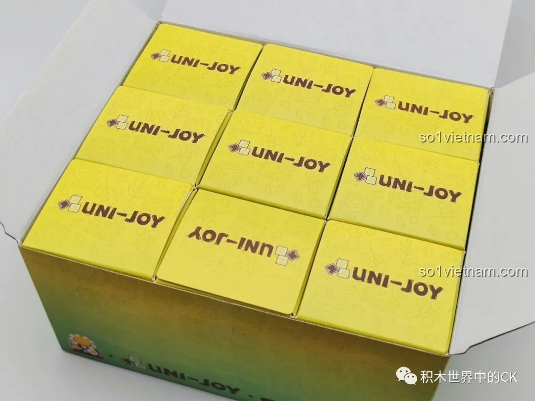 Bên trong hộp lớn là 9 hộp nhỏ của bộ sưu tập 9 chậu hoa nhà kính AULDEY, đồ chơi lắp ráp hoa mini.