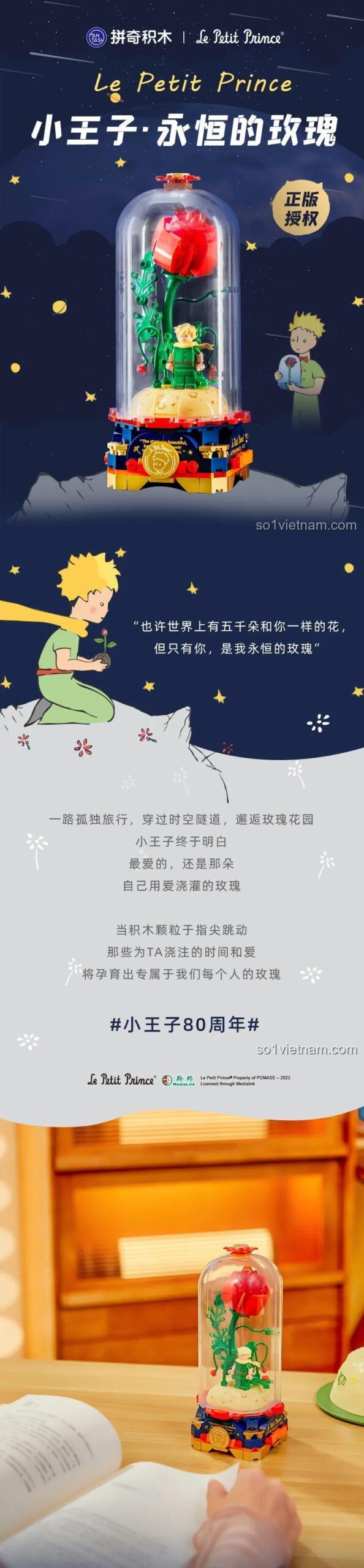 Infographic giới thiệu Bông hồng vĩnh cửu 86302 Pantasy, mô tả chi tiết sản phẩm, đáng tiền cho con gái 8 tuổi.