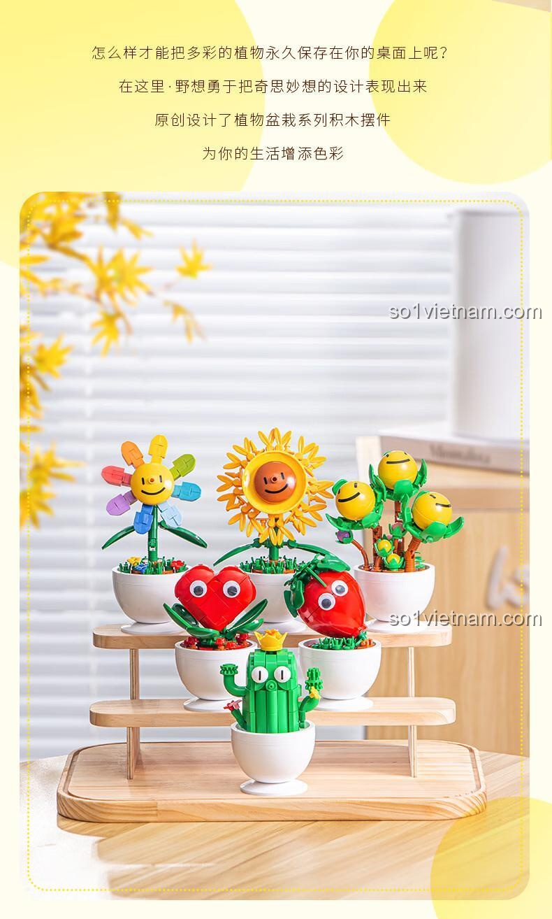 Cận cảnh 3 mẫu trong bộ lắp ghép Chậu cây lắp ghép Pleyerid M38-B1073: hoa 7 màu, cây quất và trái tim.