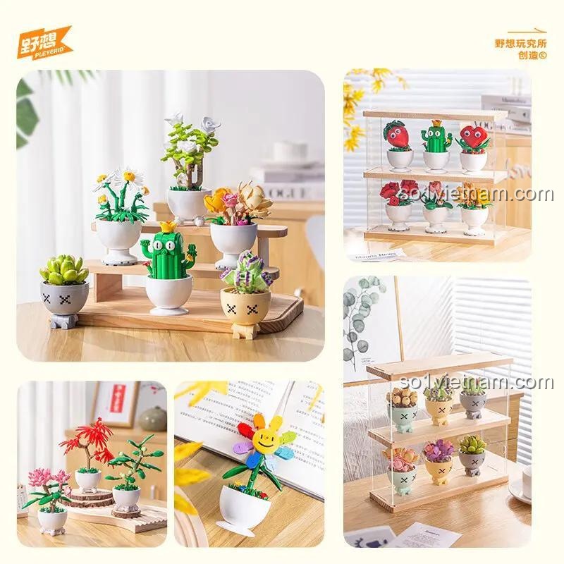 Hình ảnh đồ chơi mô hình Pleyerid B1073 dùng để trang trí bàn học và kệ sách. Bộ sưu tập cây cảnh để bàn Pleyerid giá rẻ.