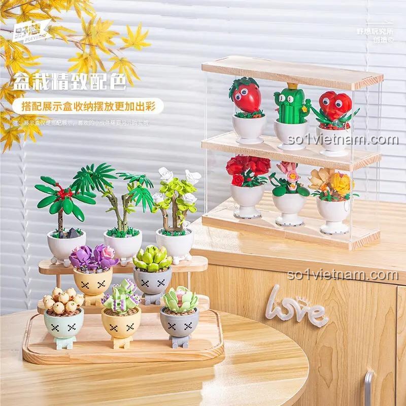 Bộ xếp hình M38-B1073 trưng bày trong hộp mica trong suốt. Mô hình cây cảnh mini Pleyerid là món quà tặng ý nghĩa.