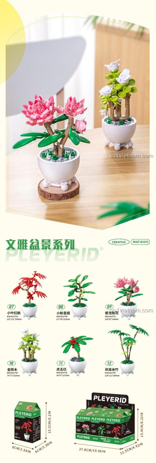 Chi tiết kích thước đồ chơi mô hình Pleyerid M38-B1075. Bộ xếp hình 6 chậu cây cảnh mini, món quà sáng tạo cho bé gái 12 tuổi.