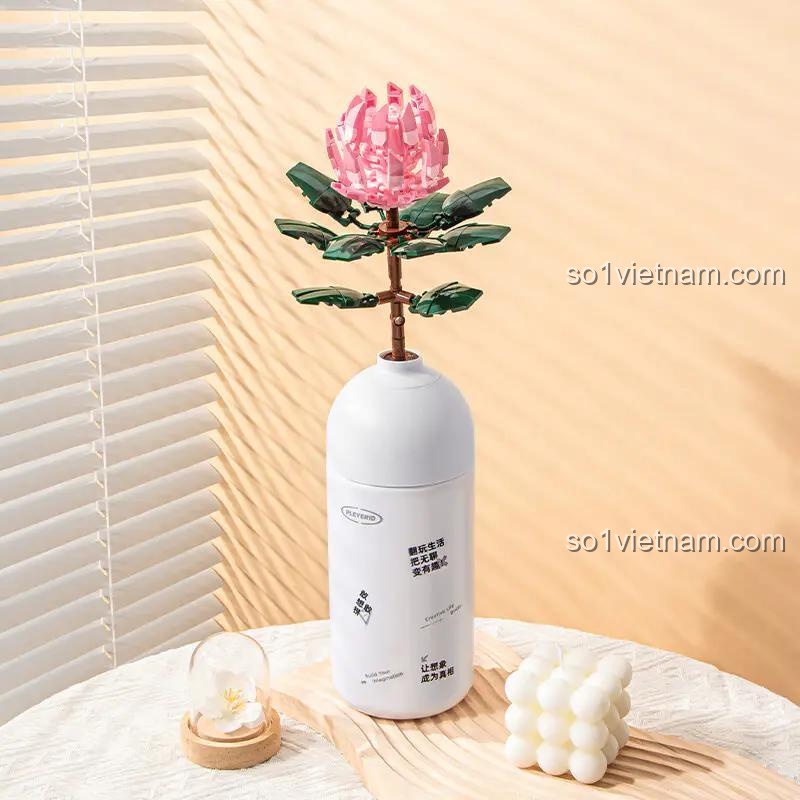 Mô hình hoa Đế Vương Pleyerid B1101, biểu tượng của sự mạnh mẽ và quyền quý.