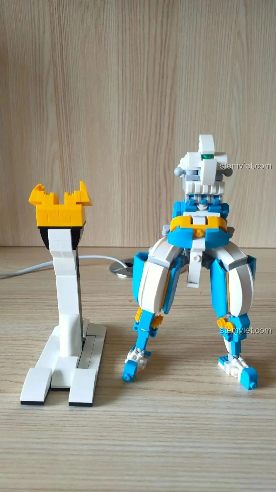 Quá trình lắp ráp phần thân và chân của robot WOMA C0407, cho thấy cấu trúc vững chắc và các khớp nối linh hoạt.