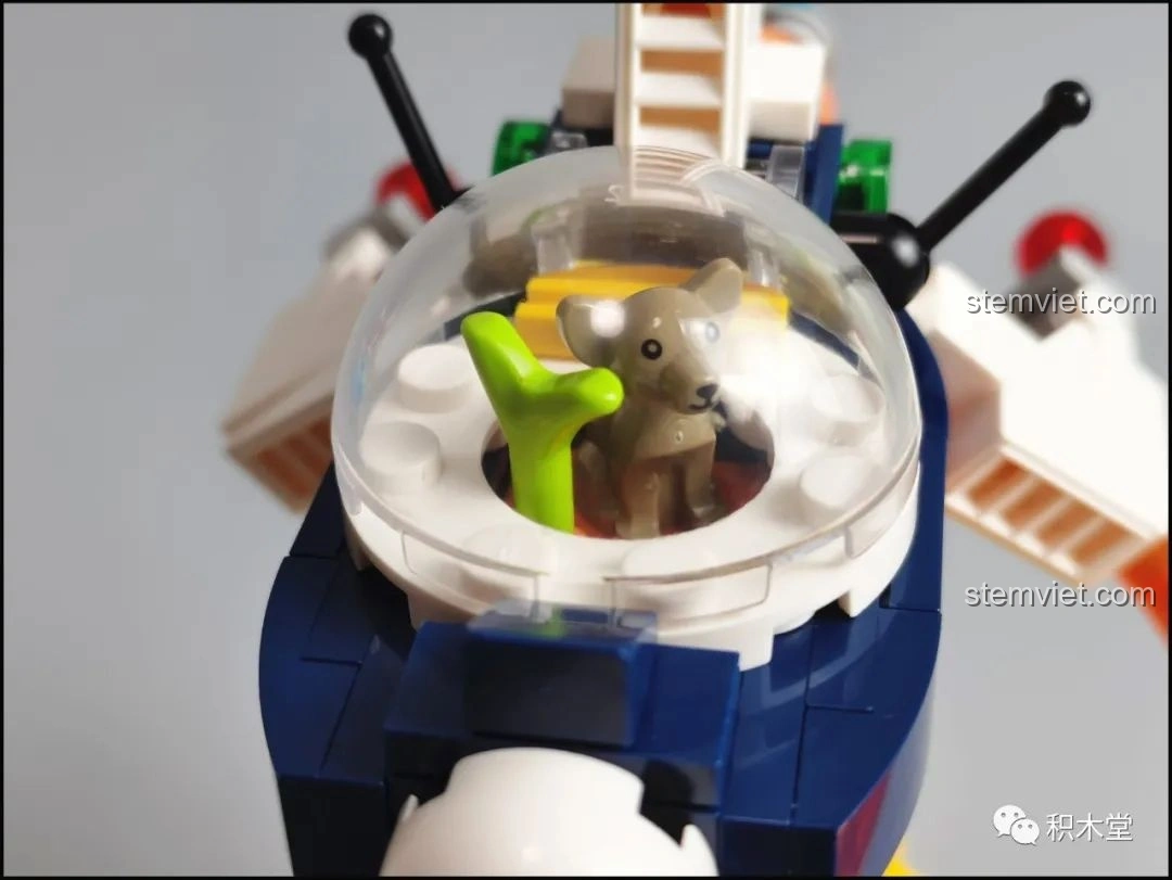 Cận cảnh con rắn đỏ đặt trên cát trong bộ lắp ráp Pantasy Joyside 61002 cảnh quan sa mạc.