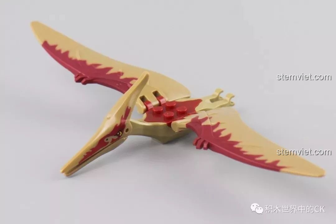 Mô hình khủng long Pterodactyl trong bộ lắp ráp Winner 8053 Bộ Lạc Khủng Long Chiến Long Kỷ Jura, với đôi cánh rộng.