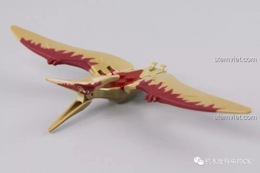 Góc nhìn từ trên xuống của mô hình khủng long Pterodactyl trong bộ lắp ráp Winner 8053 Bộ Lạc Khủng Long.