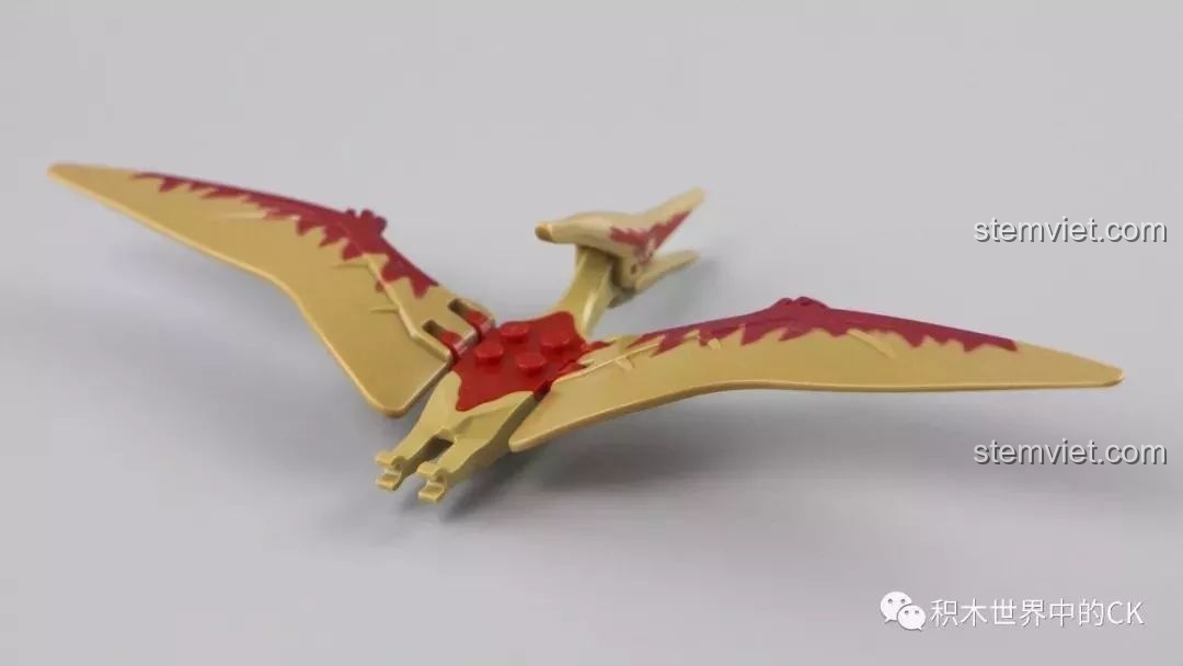 Mặt sau của mô hình khủng long Pterodactyl trong bộ lắp ráp Winner 8053 Bộ Lạc Khủng Long Chiến Long Kỷ Jura.