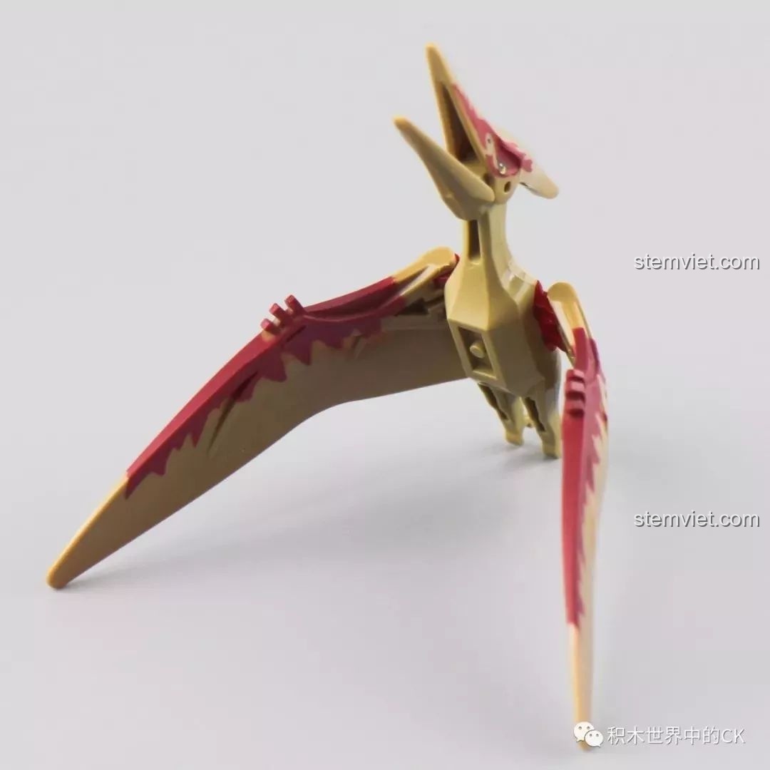 Mô hình khủng long Pterodactyl trong bộ lắp ráp Winner 8053 Bộ Lạc Khủng Long Chiến Long Kỷ Jura với tư thế sẵn sàng bay.