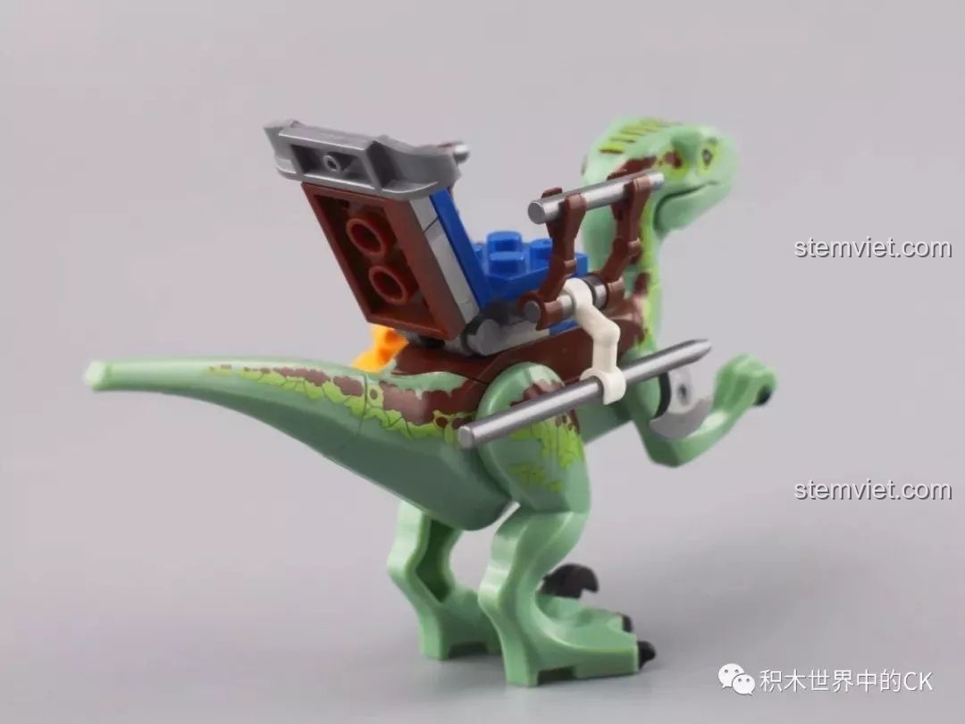 Mặt sau của mô hình khủng long Raptor có yên cưỡi trong bộ lắp ráp Winner 8053 Bộ Lạc Khủng Long.