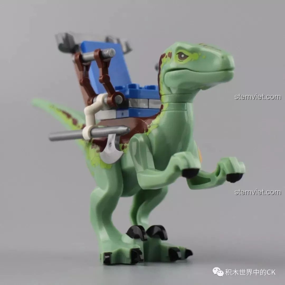 Góc nghiêng của mô hình khủng long Raptor có yên cưỡi trong bộ lắp ráp Winner 8053 Bộ Lạc Khủng Long Chiến Long Kỷ Jura.