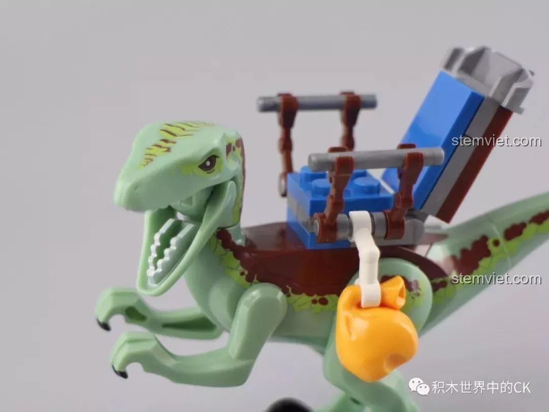 Cận cảnh khuôn mặt của mô hình khủng long Raptor trong bộ lắp ráp Winner 8053 Bộ Lạc Khủng Long Chiến Long Kỷ Jura.