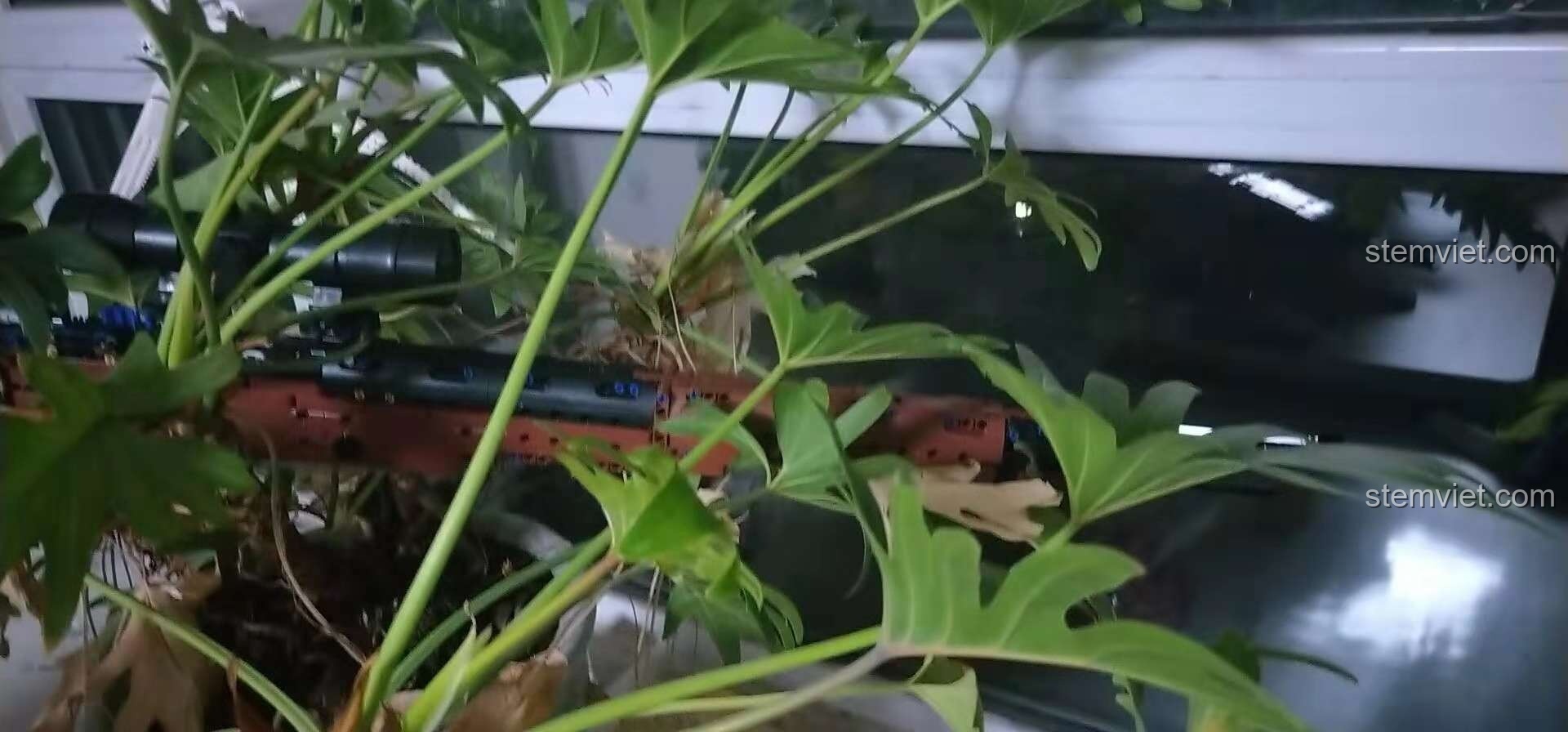 Mô hình súng bắn tỉa Kar98k Mauser CaDA C61010 được đặt trong bụi cây, tạo bối cảnh như trong game PUBG.