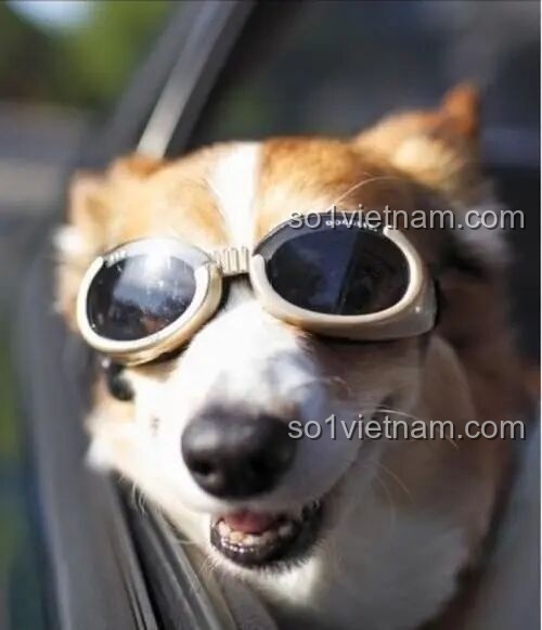 Mô hình lắp ráp Ultraman Z Beta Smash