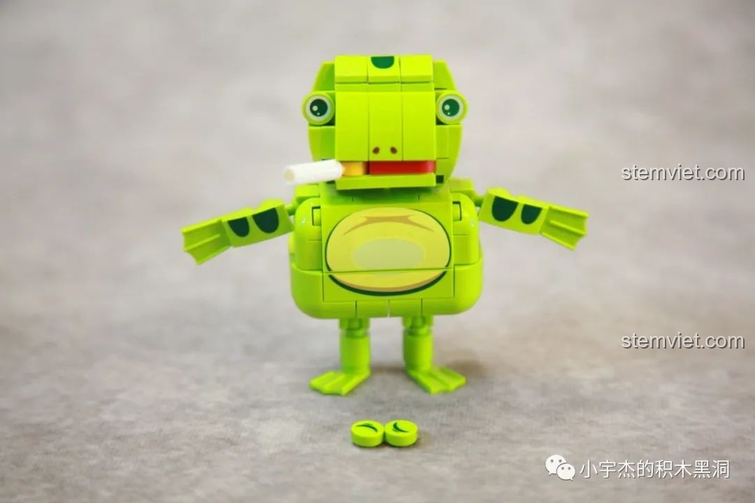 Cận cảnh mắt của đồ chơi lắp ráp SEMBO 613103 Ếch Ngâm Nước Ấm, với biểu cảm ngộ nghĩnh.