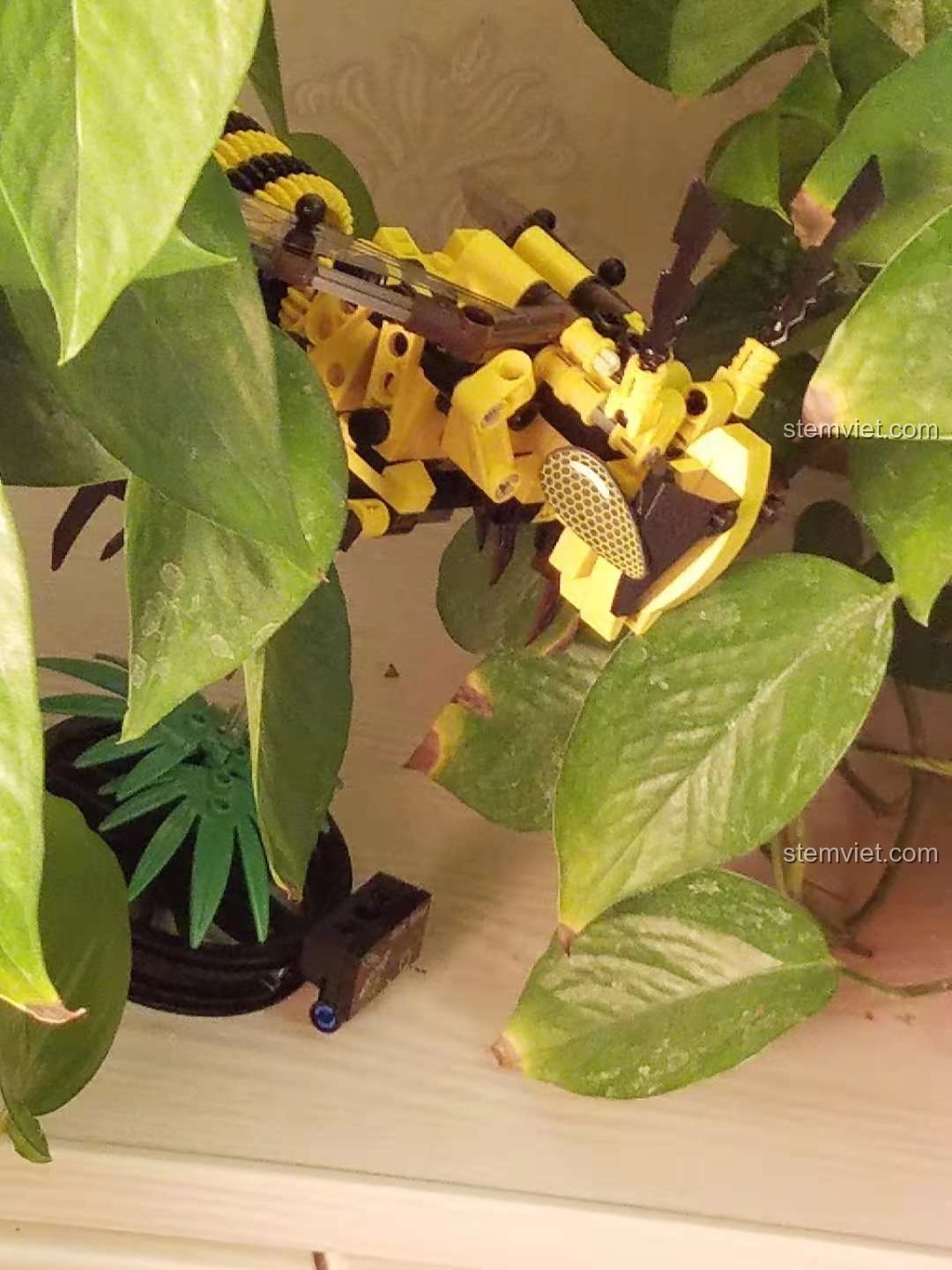 Cận cảnh phần đầu và mắt của mô hình Ong Vàng Cơ Khí Sembo 703200, chi tiết tinh xảo.