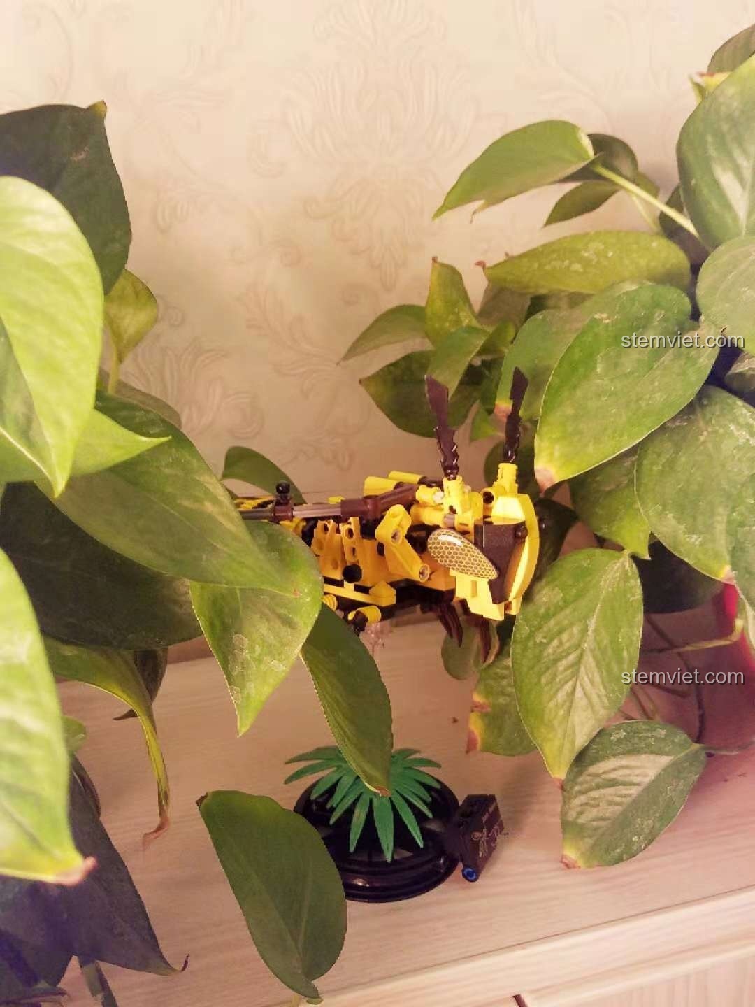 Góc nhìn khác của mô hình Ong Vàng Cơ Khí Sembo 703200 khi trưng bày trong cây, thể hiện tính thẩm mỹ.